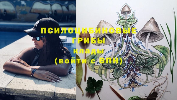 марки lsd Абаза